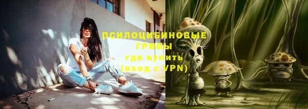 ECSTASY Нефтекумск