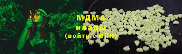 амф Гусь-Хрустальный