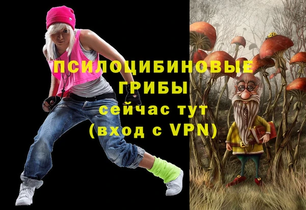 дживик Новокубанск