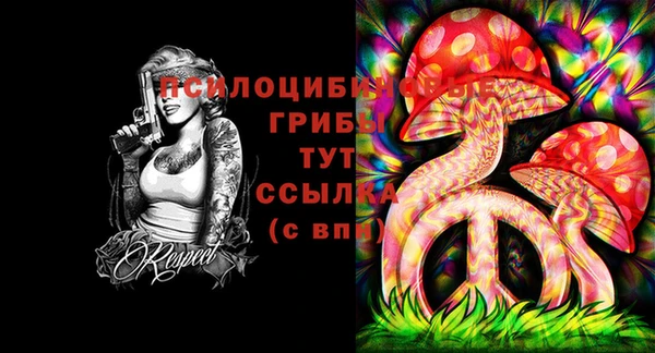 прущая мука Нея
