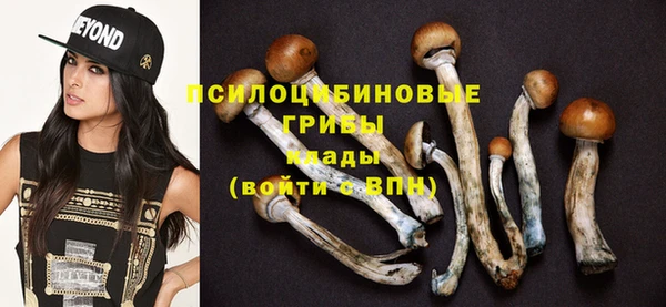 дживик Новокубанск
