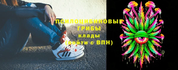 МДПВ Нефтегорск